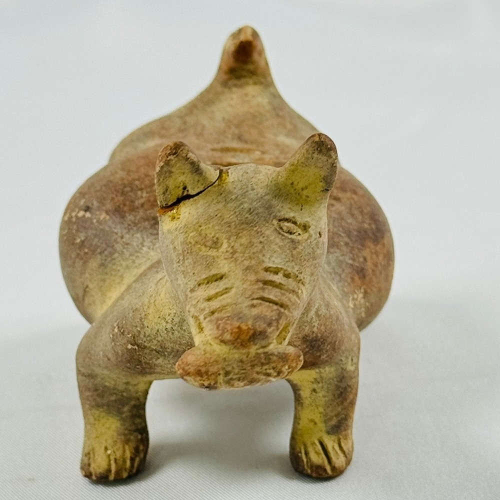 Antique West Mexico Colima Dog Pot Belly Corn Effigy Pottery Folk Art Xolo READ